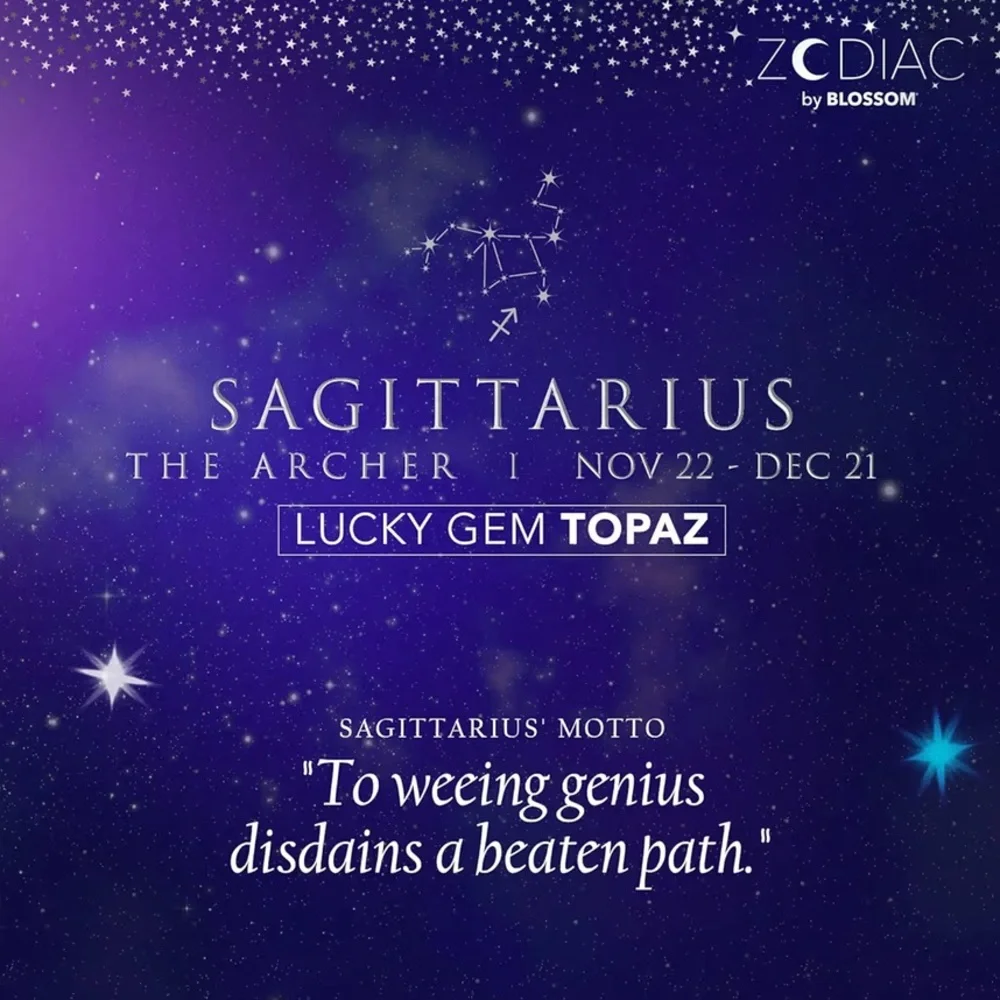 Zodiac Sagittarius Lip Gloss by Blossom♐️